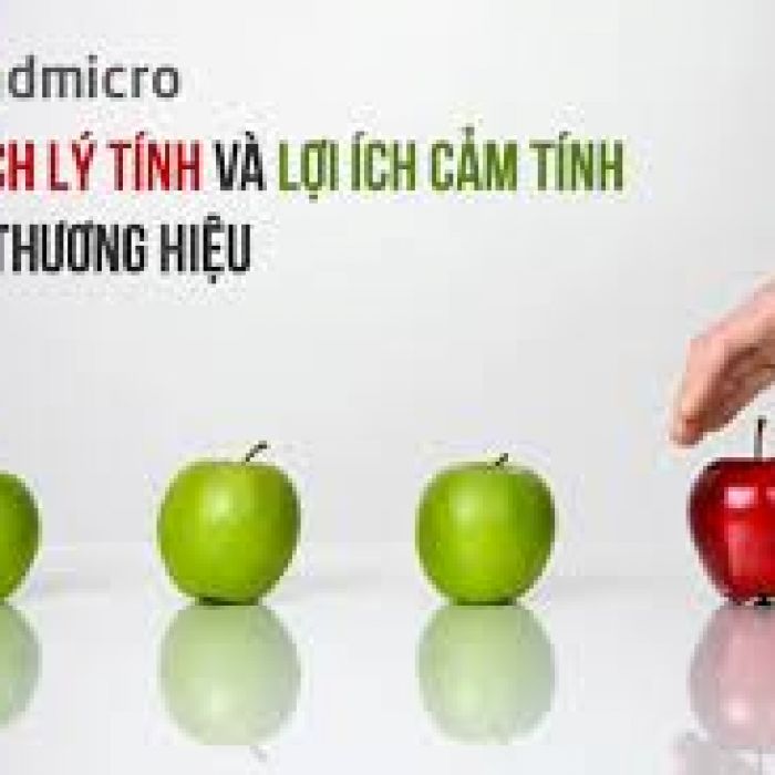 Xây dựng thương hiệu bằng cảm xúc