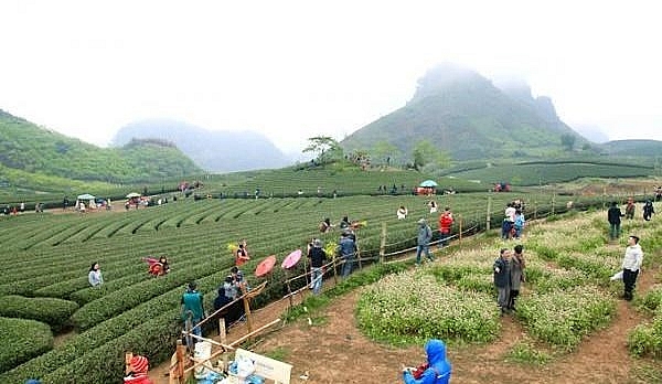 Thực trạng phát triển nông thông và nhiều tầng lớp bỏ lại phía sau